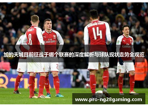 加的夫城目前征战于哪个联赛的深度解析与球队现状走势全观览 加的夫城目前征战于哪个联赛的深度解析与球队现状走势全观览
